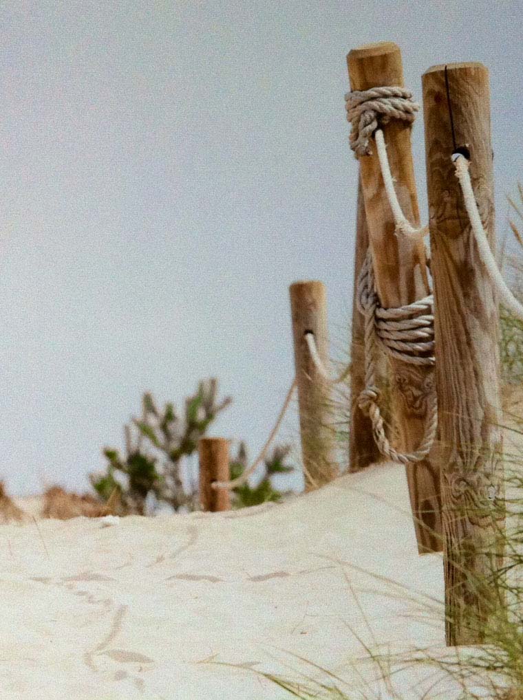 chemin à travers des dunes